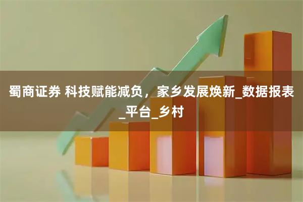 蜀商证券 科技赋能减负，家乡发展焕新_数据报表_平台_乡村