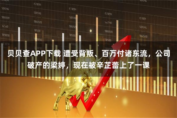 贝贝查APP下载 遭受背叛、百万付诸东流，公司破产的梁婷，现在被辛芷蕾上了一课
